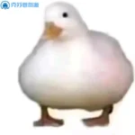 •栖•-VAM®克苏恩资源社区