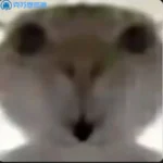盾墨-VAM®克苏恩资源社区