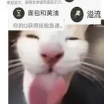 ㅤㅤ-VAM®克苏恩资源社区